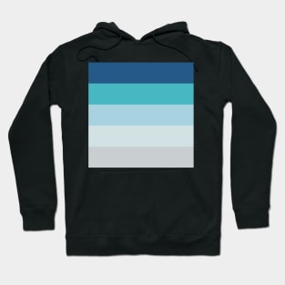 Blue color stripe Hoodie